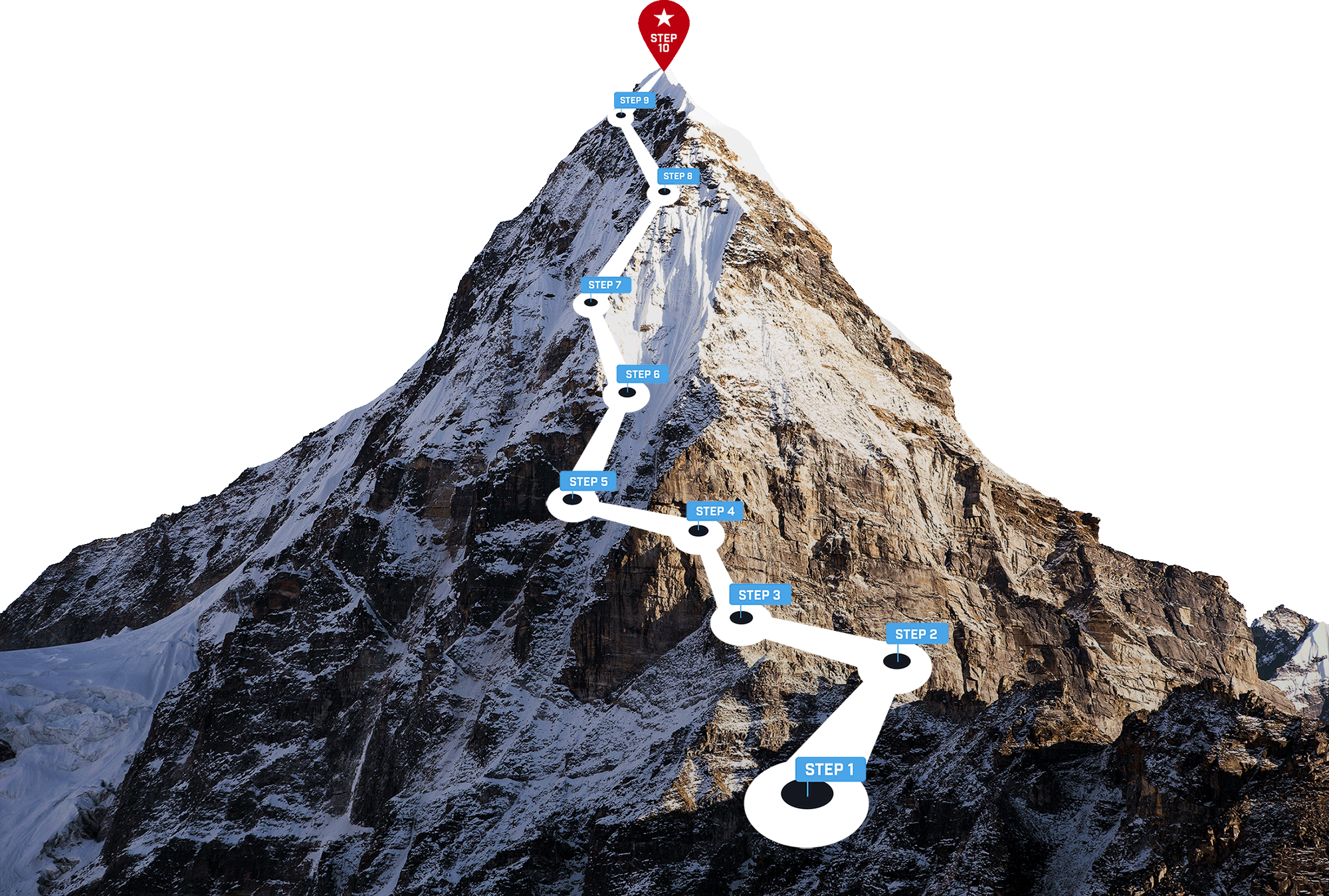 Vetrepreneur How Franchise Coaching Works